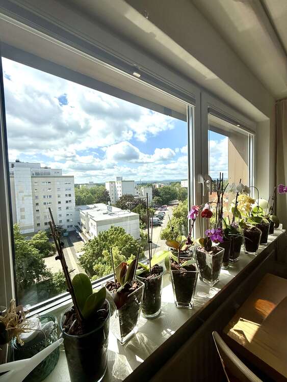 Thumbnail-Wohnung zum Kaufen in Hannover 279.000,00 € 90.67 m²