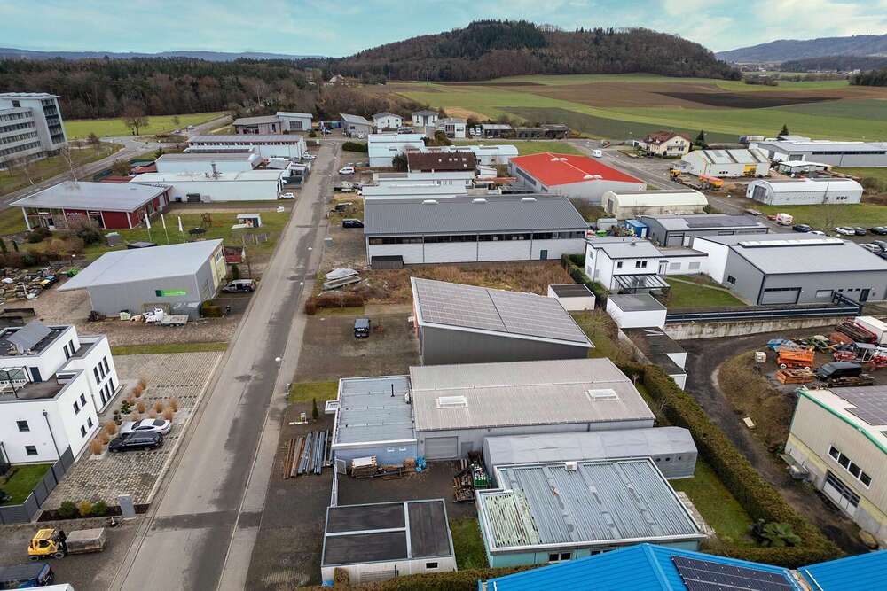 Thumbnail-Haus zum Kaufen in Gottmadingen 995.000,00 € 126 m²