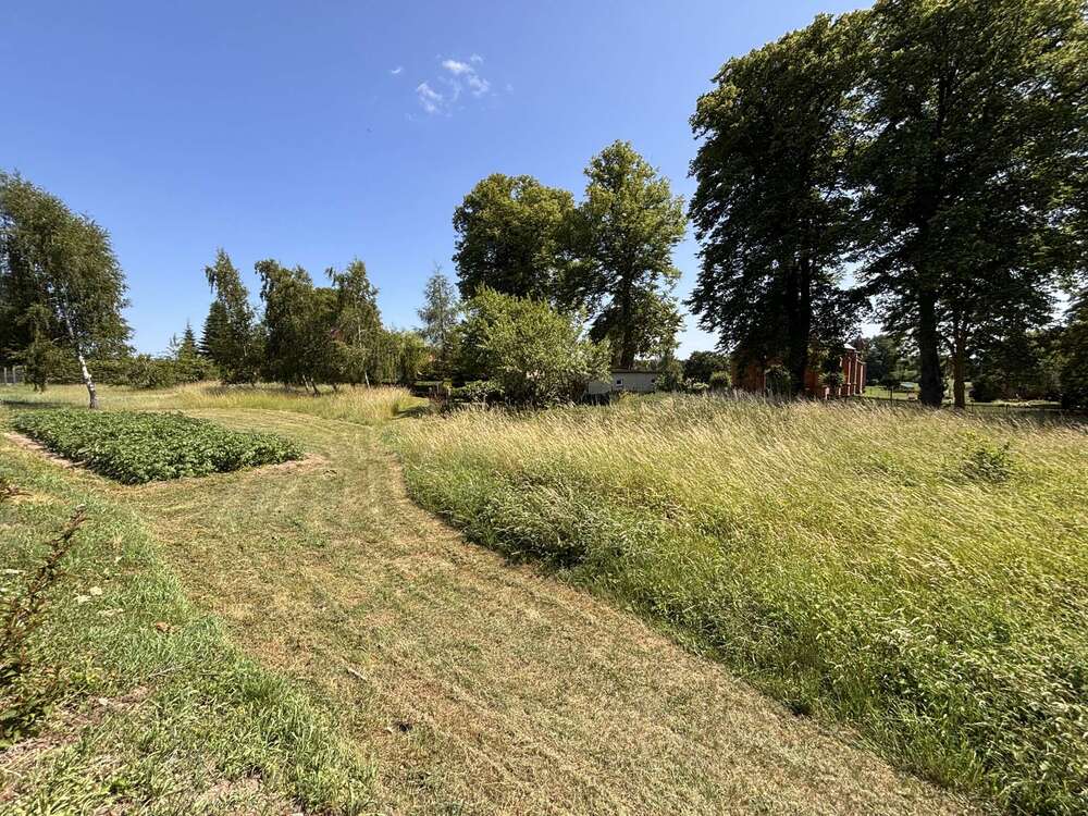 Thumbnail-Grundstück zu verkaufen in Badow 55.000,00 € 2030 m²