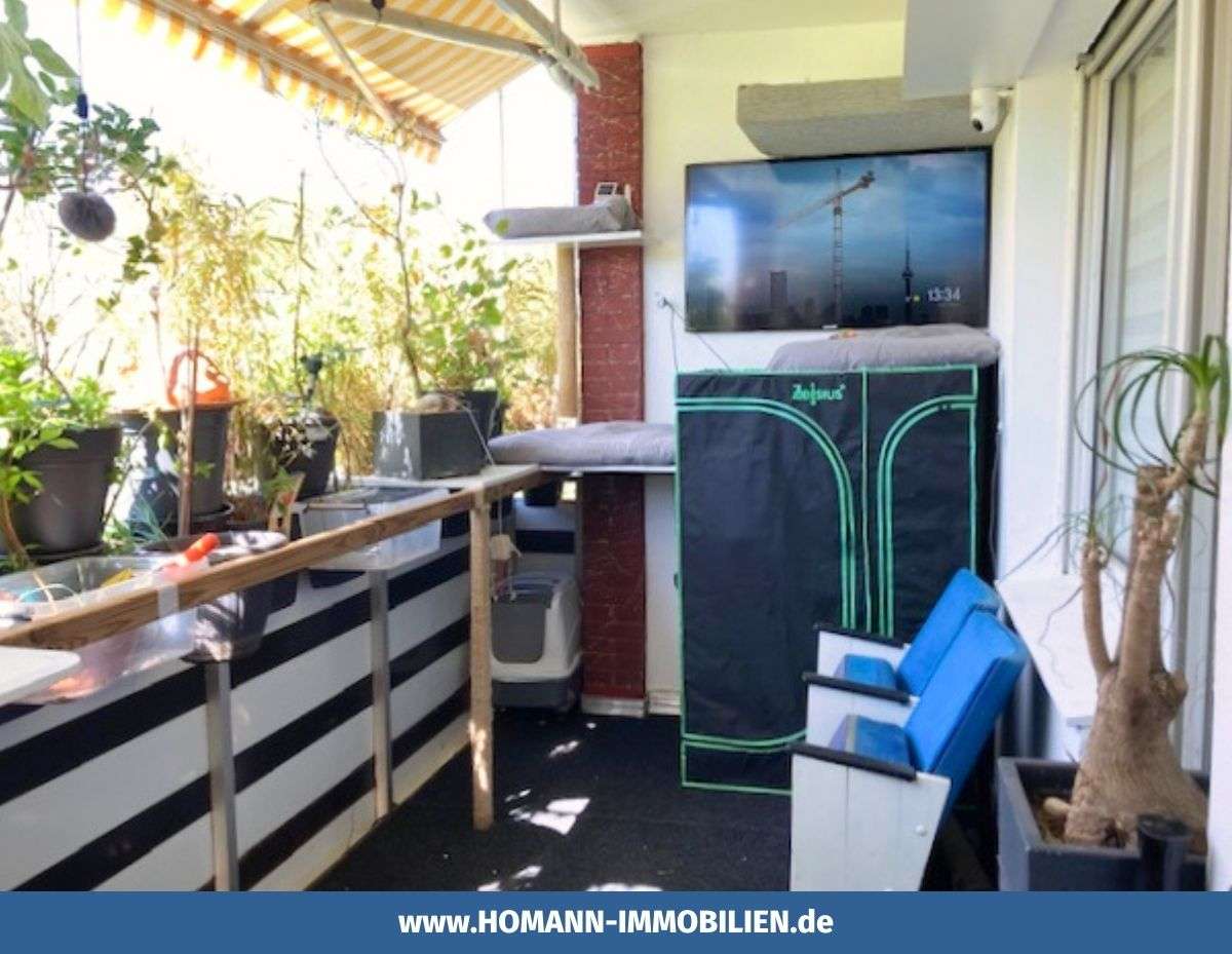 Thumbnail-Wohnung zum Kaufen in Münster 185.000,00 € 60 m²