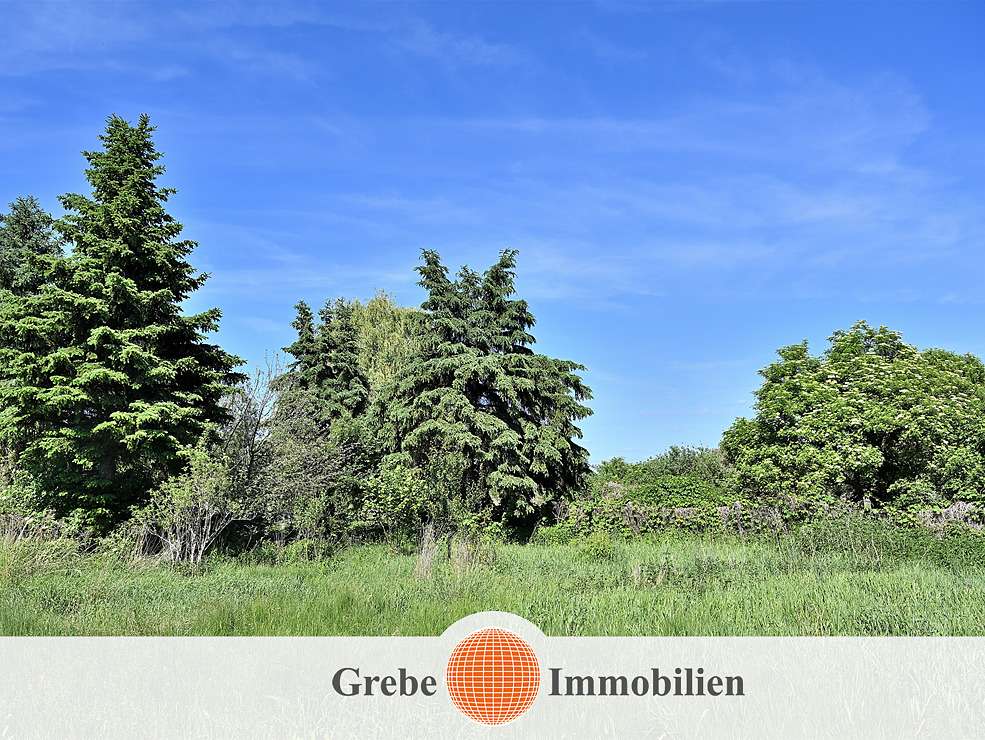 Thumbnail-Grundstück zu verkaufen in Zossen Dabendorf 663.750,00 € 2655 m²
