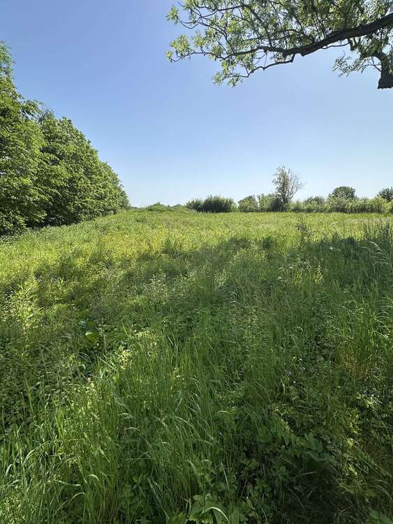 Thumbnail-Grundstück zu verkaufen in Grevesmühlen 95.000,00 € 1390 m²