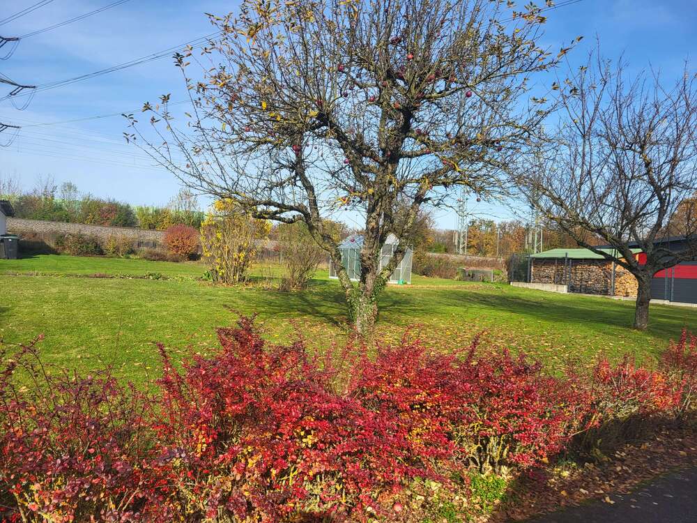 Thumbnail-Grundstück zu verkaufen in Ehningen 450.000,00 € 888 m²