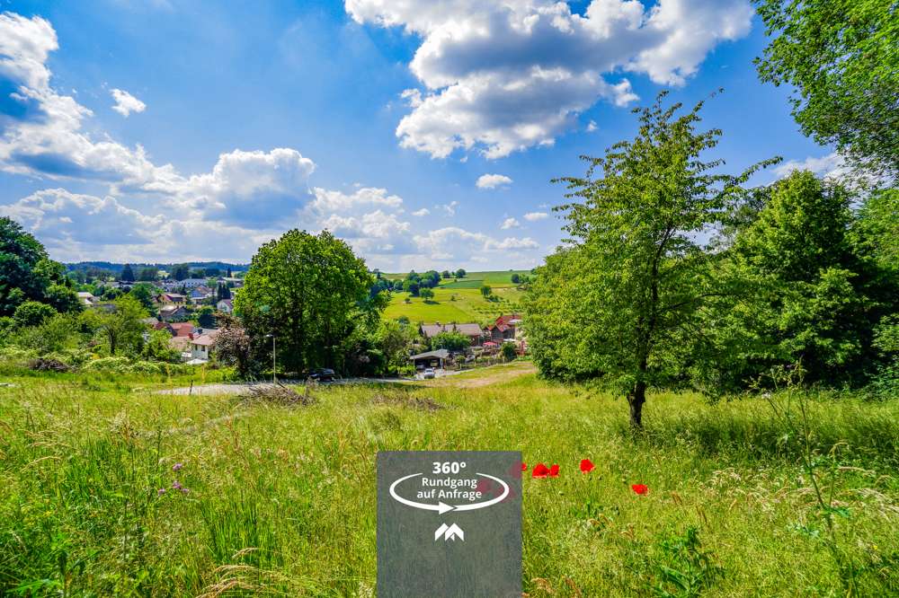 Thumbnail-Grundstück zu verkaufen in Grasellenbach Hammelbach 73.000,00 € 520 m²