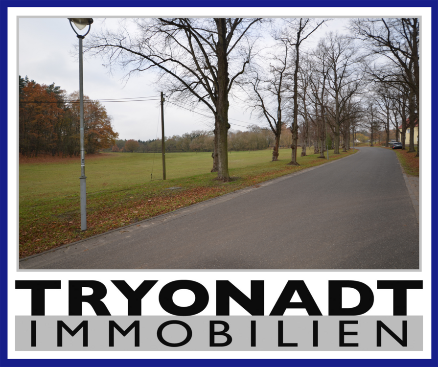 Thumbnail-Grundstück zu verkaufen in Mittenwalde 106.000,00 € 800 m²