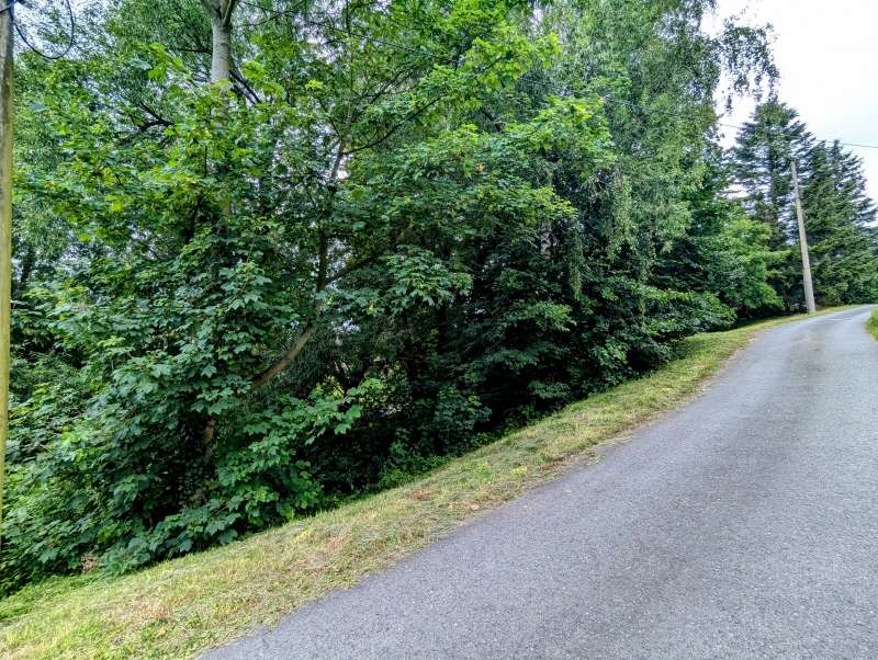 Thumbnail-Grundstück zu verkaufen in Bad Gottleuba 54.900,00 € 1250 m²