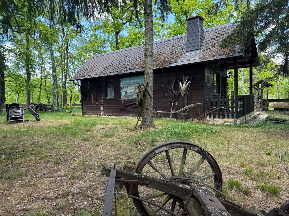 Thumbnail-Haus zum Kaufen in Dohma 129.900,00 € 40 m²