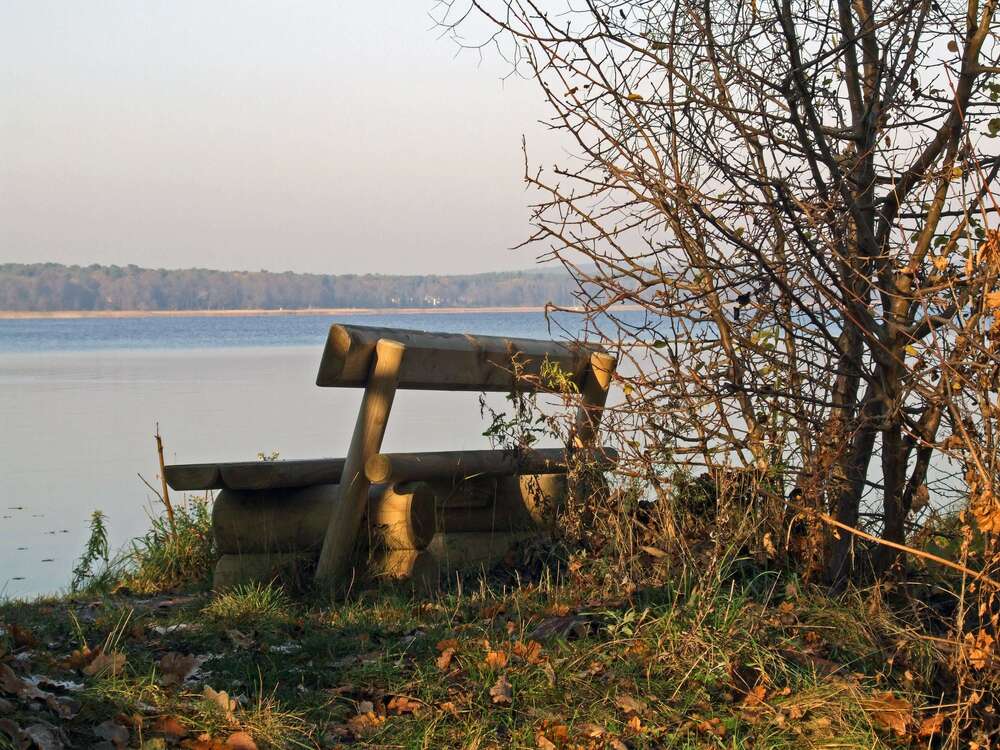 Thumbnail-Grundstück zu verkaufen in Bad Saarow 349.000,00 € 2435 m²