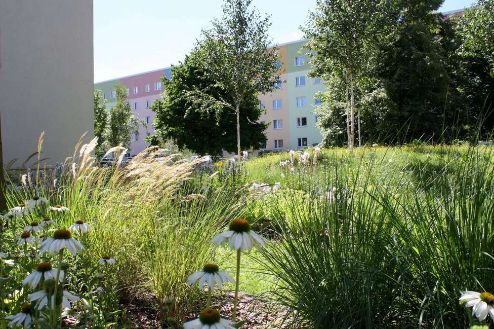 Thumbnail-Wohnung zum Mieten in Pirna 256,68 € 49.2 m²