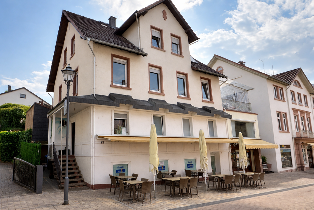 Thumbnail-Haus zum Kaufen in Erbach 589.000,00 € 409 m²