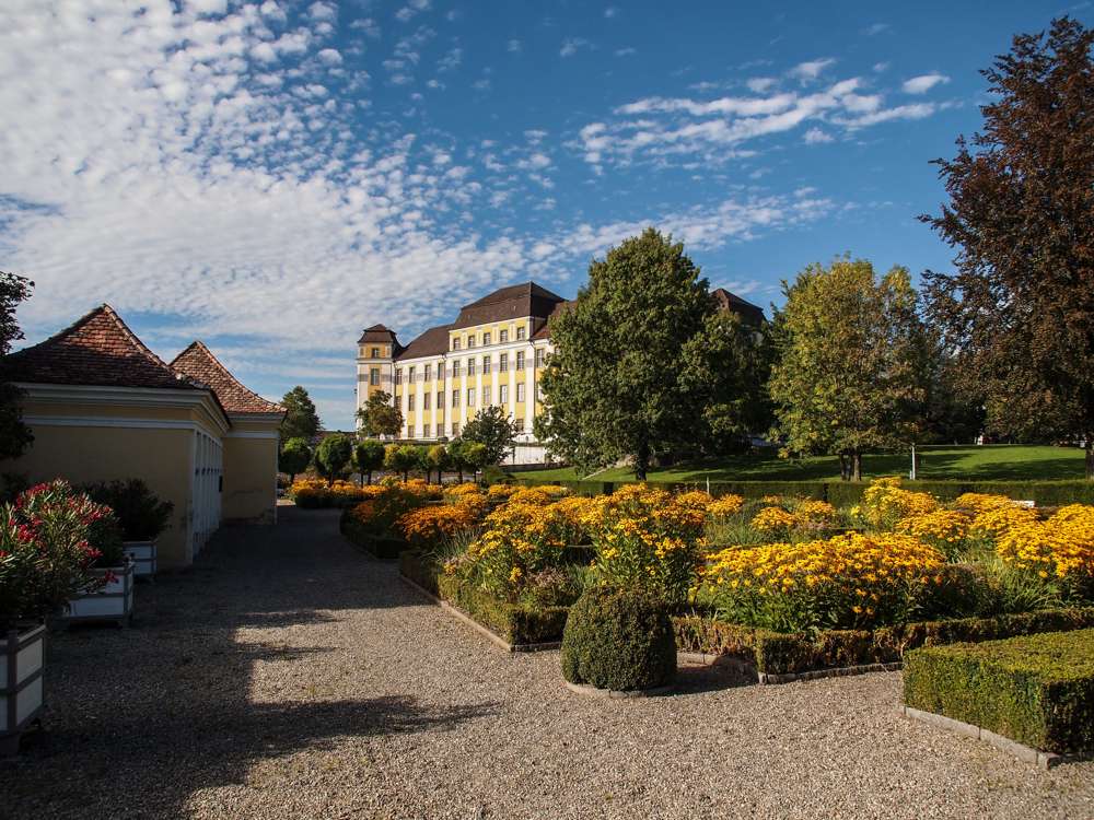 Thumbnail-Wohnung zum Kaufen in Tettnang 345.000,00 € 113 m²