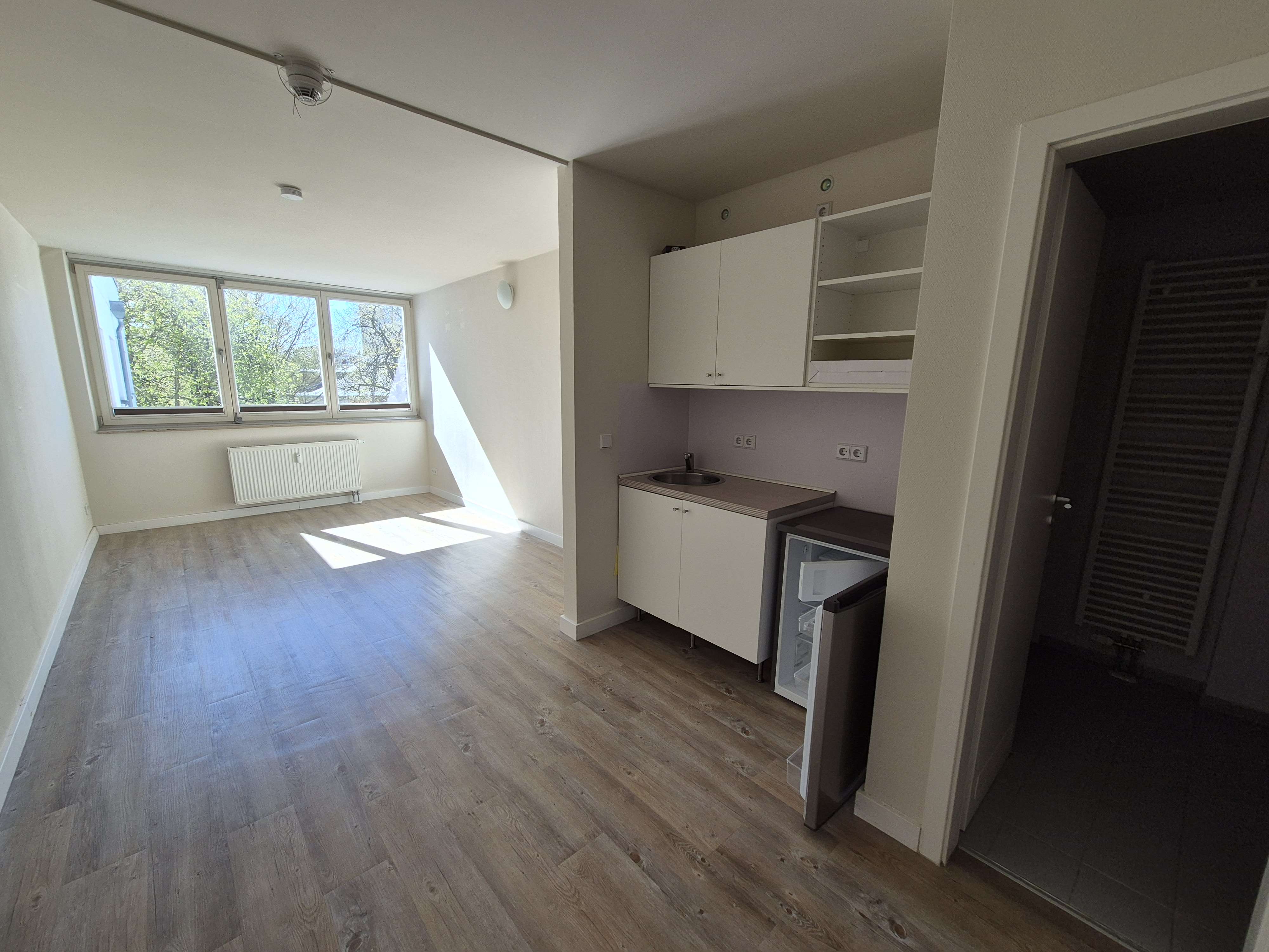 Thumbnail-Wohnung zum Mieten in Dresden 409,00 € 28 m²