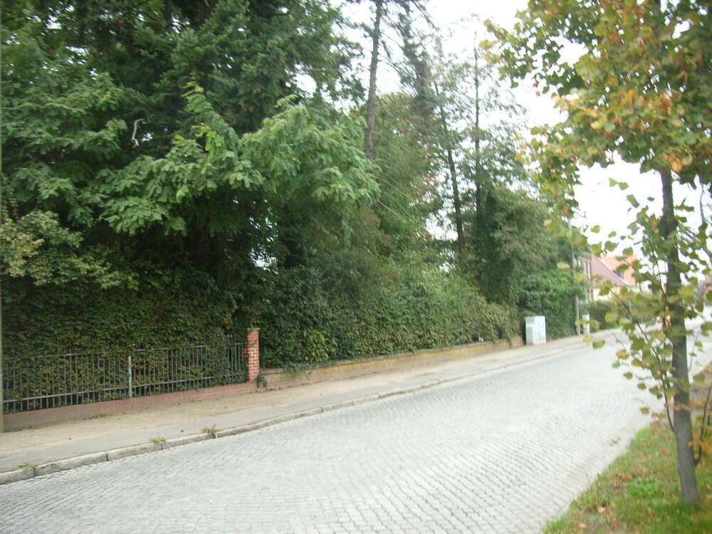 Thumbnail-Grundstück zu verkaufen in Lutherstadt Wittenberg 165.000,00 € 1786 m²