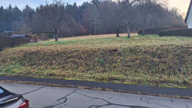 Thumbnail-Grundstück zu verkaufen in Albstadt Laufen 250.000,00 € 776 m²