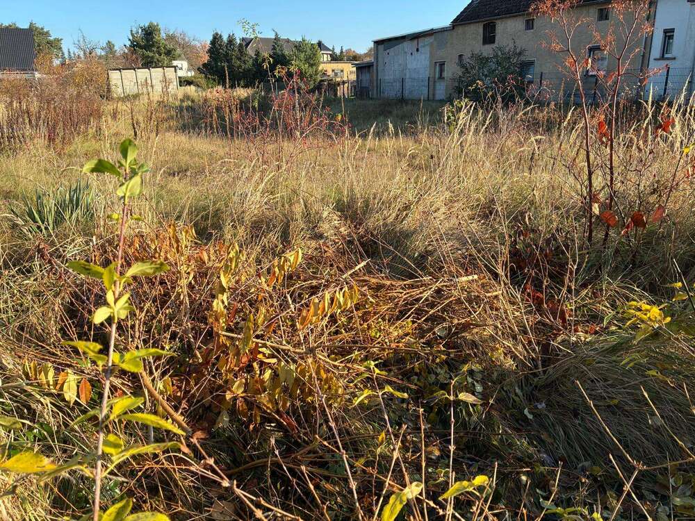 Thumbnail-Grundstück zu verkaufen in Guteborn 48.000,00 € 1681 m²