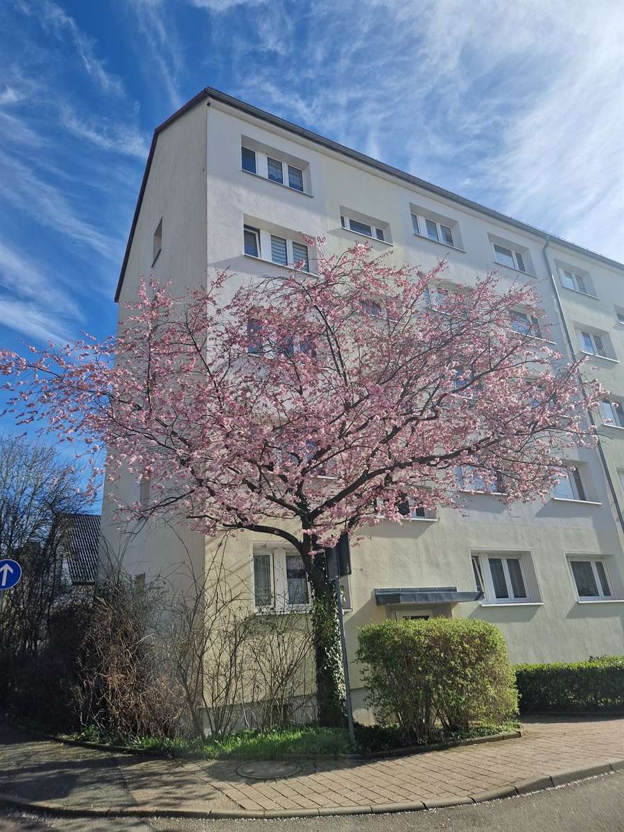 Thumbnail-Wohnung zum Mieten in Glauchau 316,00 € 45.52 m²