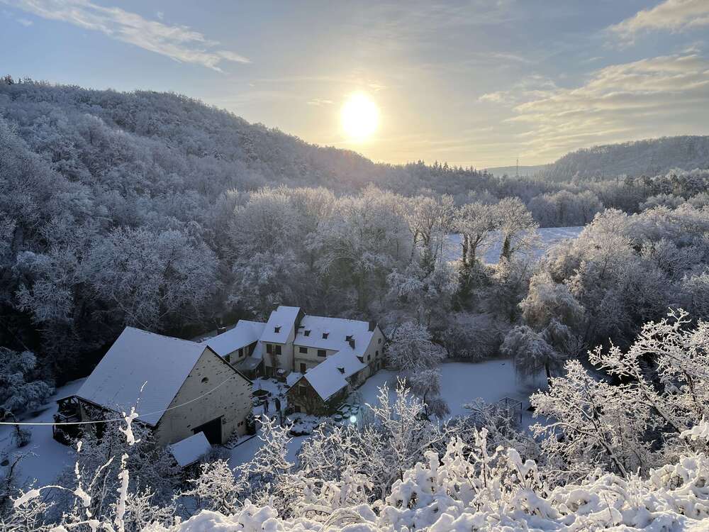 Thumbnail-Haus zum Kaufen in Koblenz 2.980.000,00 € 515 m²