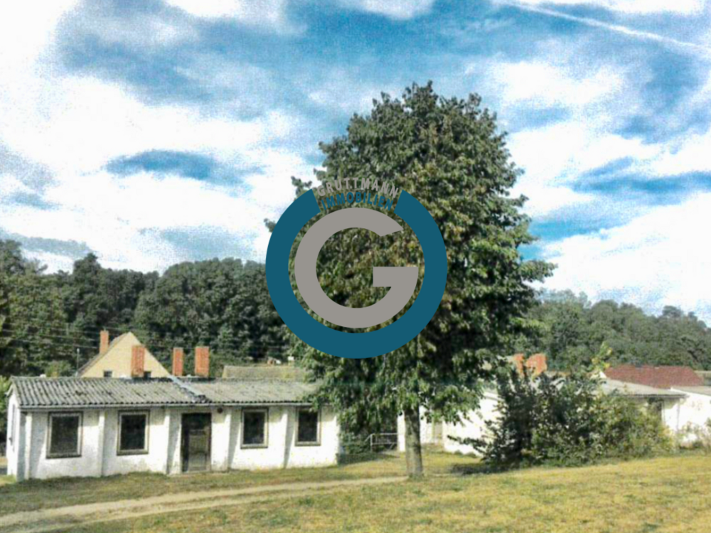 Thumbnail-Haus zum Kaufen in Neuhardenberg 490.000,00 € 465 m²