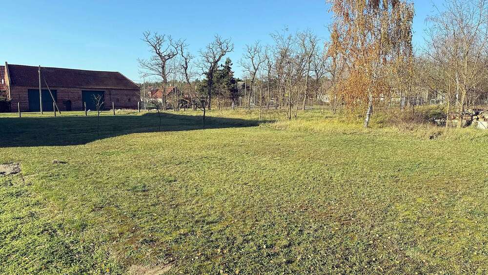 Thumbnail-Grundstück zu verkaufen in Nuthe-Urstromtal 55.000,00 € 750 m²