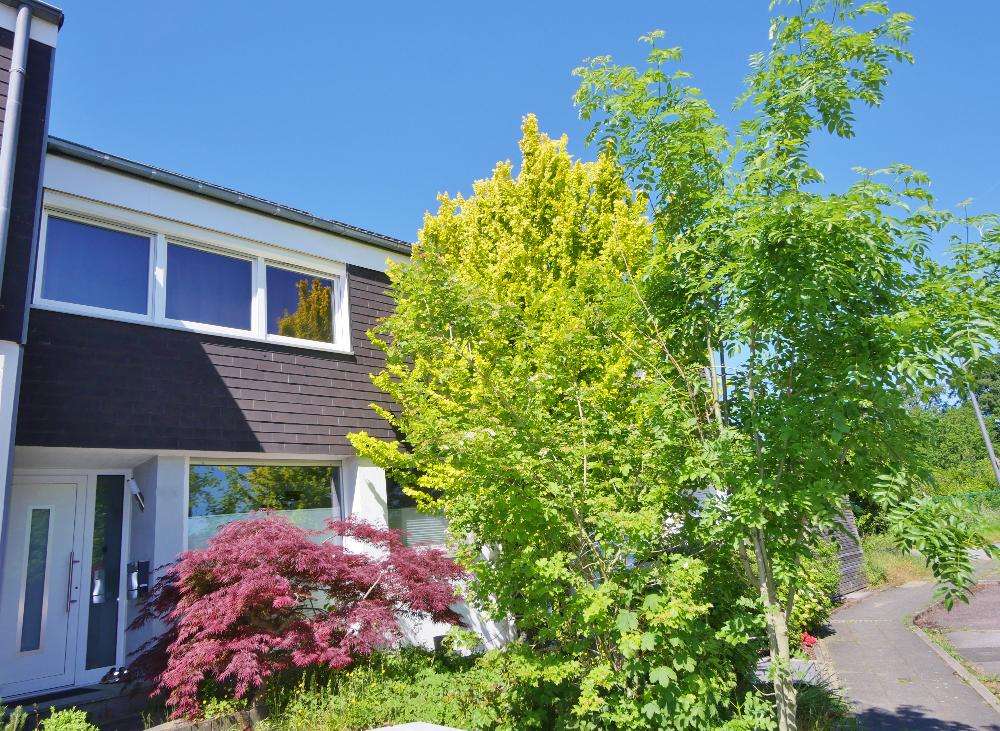 Thumbnail-Haus zum Kaufen in Haan 495.000,00 € 115 m²