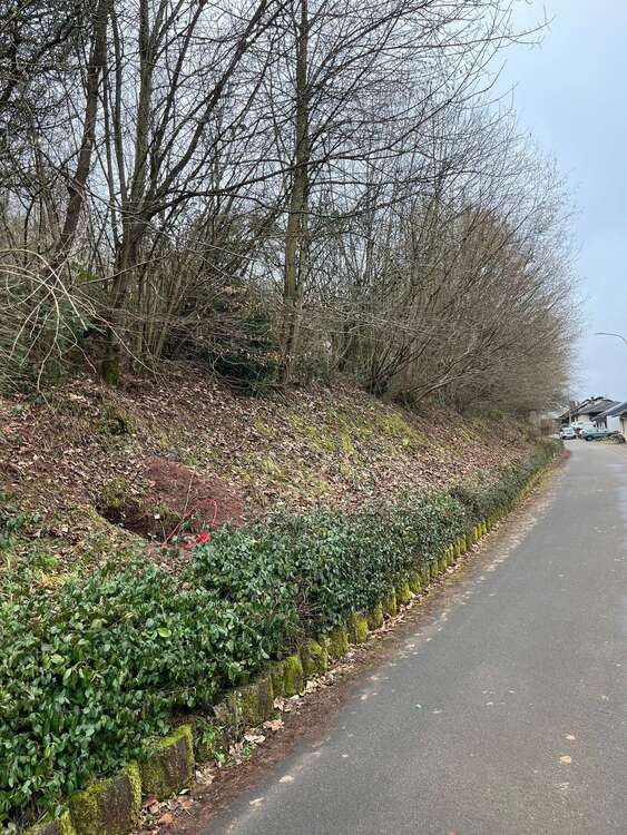 Thumbnail-Grundstück zu verkaufen in Winterbach (Pfalz) 50.000,00 € 998 m²