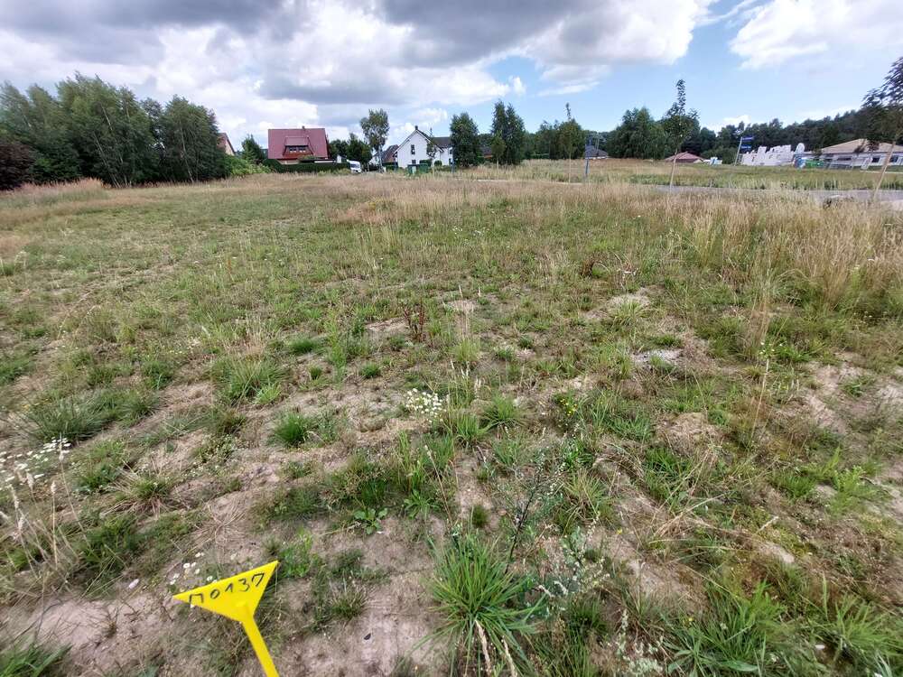 Thumbnail-Grundstück zu verkaufen in Bergen OT Tilzow 117.500,00 € 698 m²