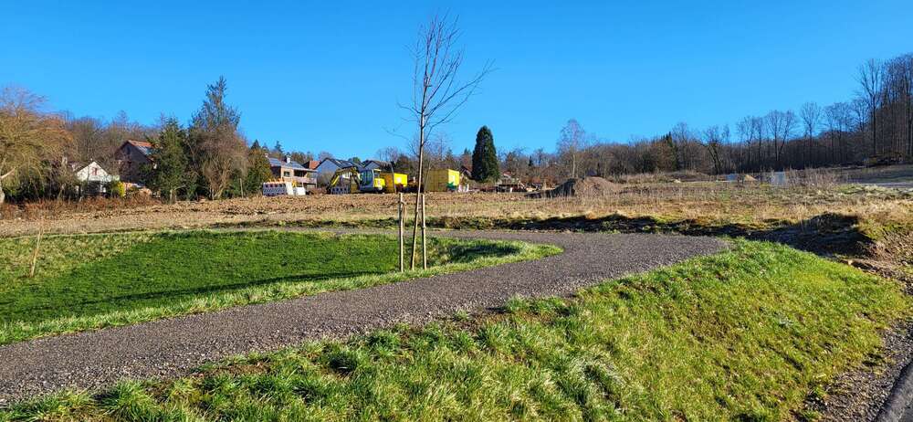 Thumbnail-Grundstück zu verkaufen in Niedersachsen - Hann. Münden 141.000,00 € 939 m²