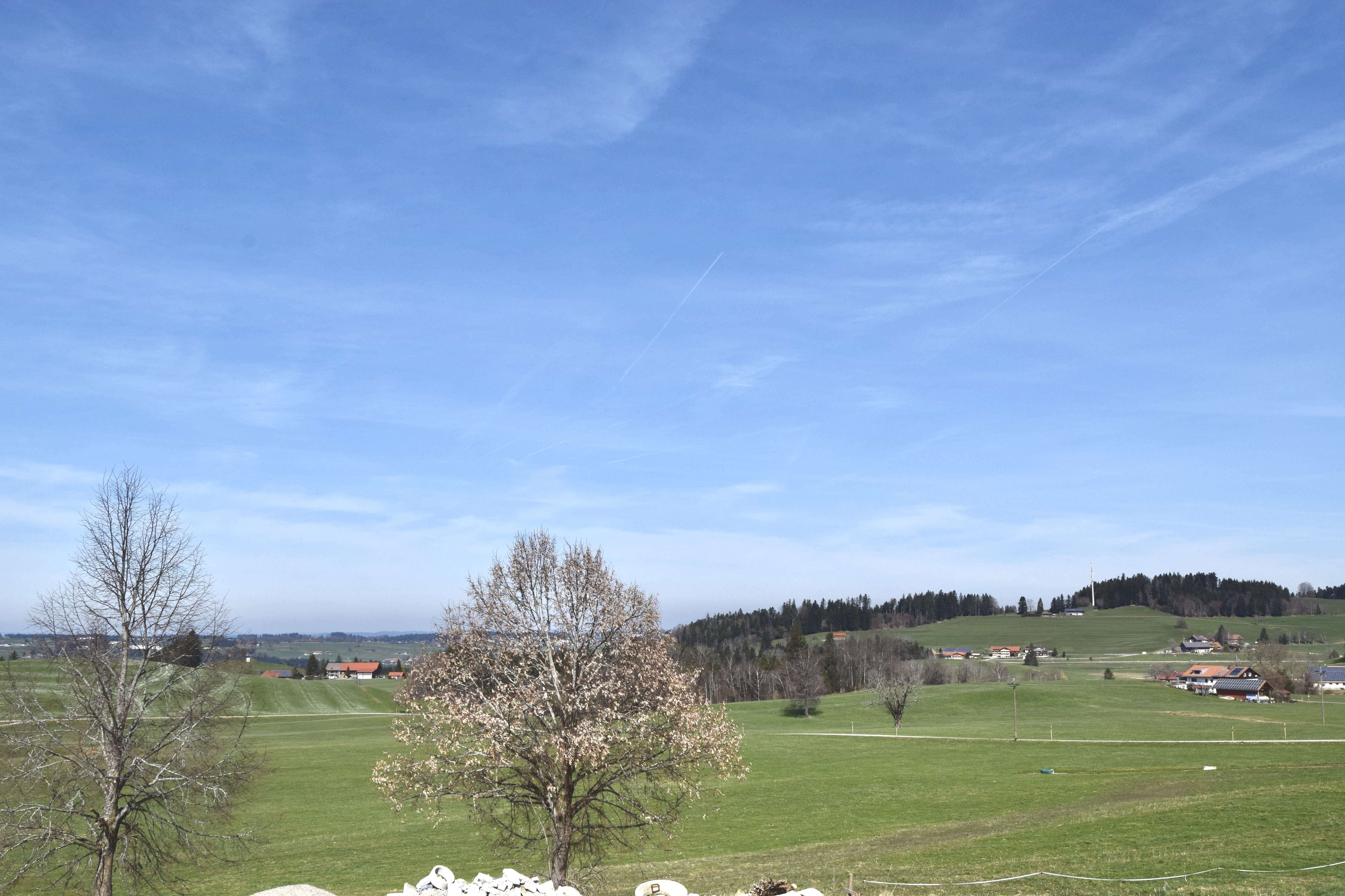 Thumbnail-Haus zum Kaufen in Oberreute 779.000,00 € 1200 m²