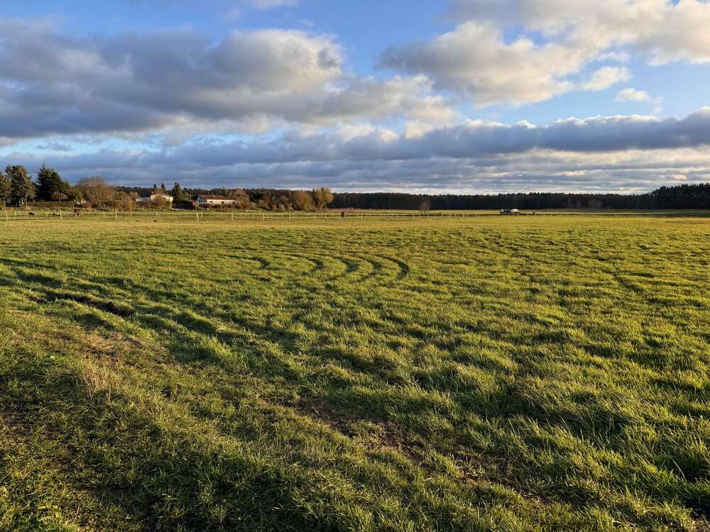 Thumbnail-Grundstück zu verkaufen in Torgelow 89.760,00 € 748 m²
