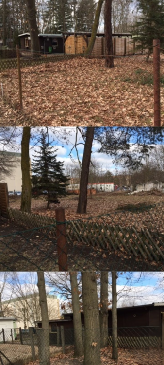 Thumbnail-Grundstück zu verkaufen in Brandenburg - Kolkwitz 112.145,00 € 2000 m²