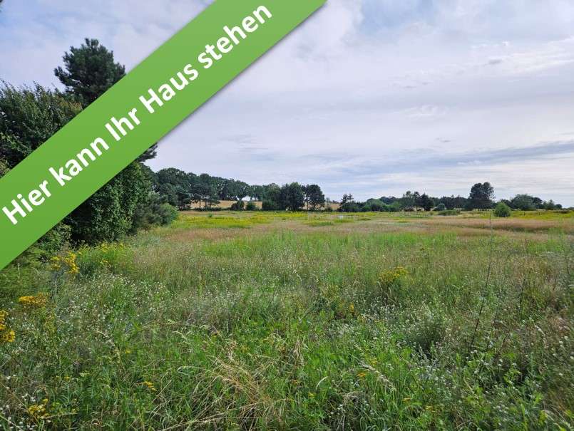 Thumbnail-Haus zum Kaufen in Wettmar 407.190,00 € 144 m²