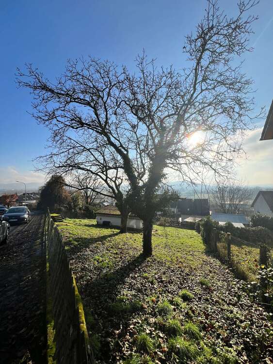 Thumbnail-Wohnung zum Kaufen in Gelnhausen 499.000,00 € 93 m²