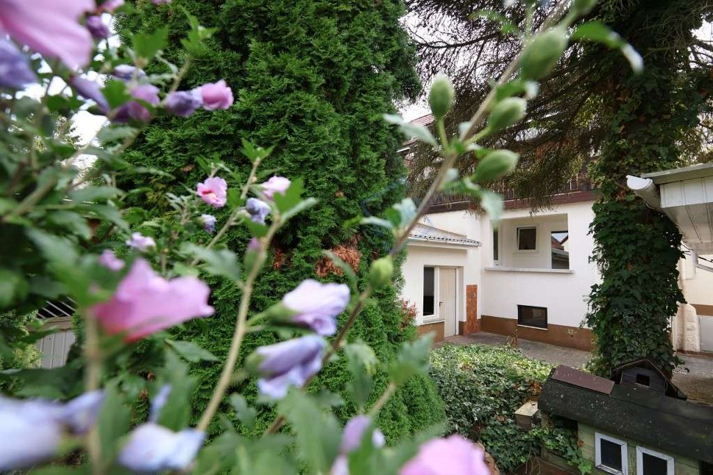 Thumbnail-Haus zum Kaufen in Reinheim 350.000,00 € 185.32 m²