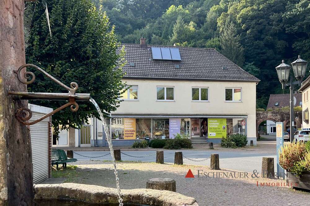 Thumbnail-Haus zum Kaufen in Schönau 365.000,00 € 292 m²