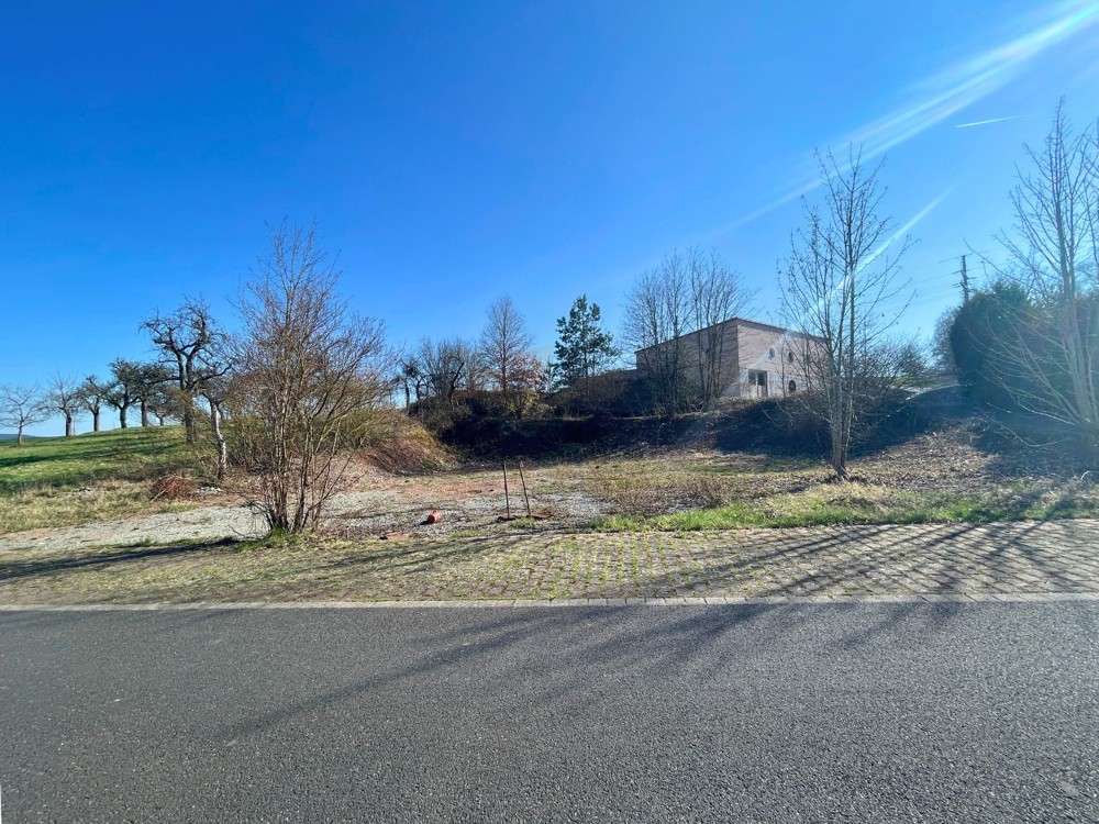 Thumbnail-Grundstück zu verkaufen in Oberthulba Wittershausen 100.000,00 € 1325 m²