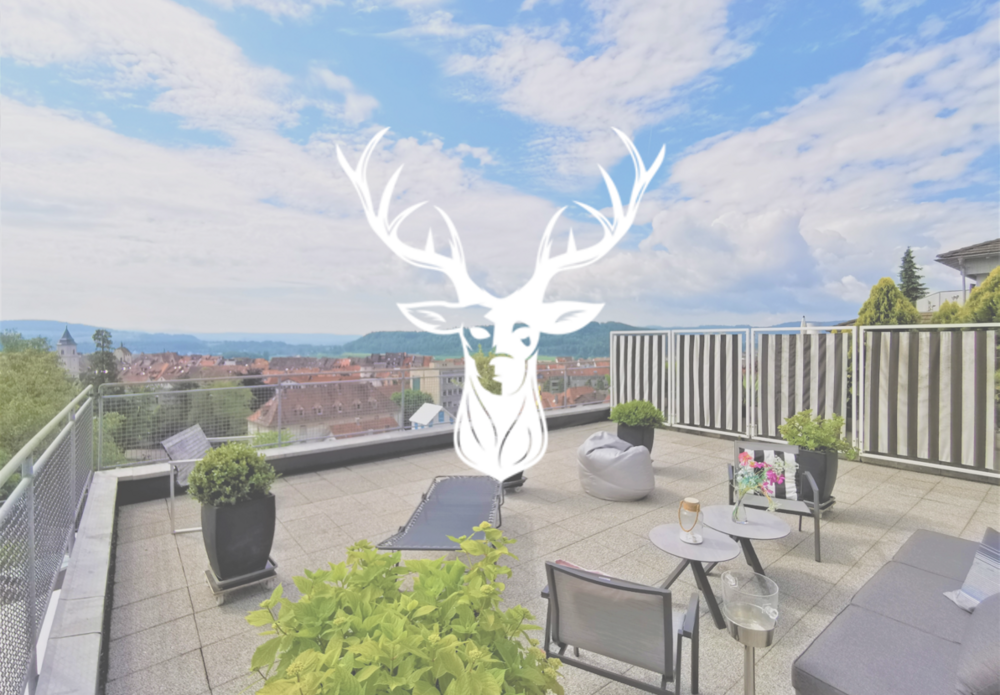 Thumbnail-Wohnung zum Kaufen in Waldshut-Tiengen 460.000,00 € 113 m²