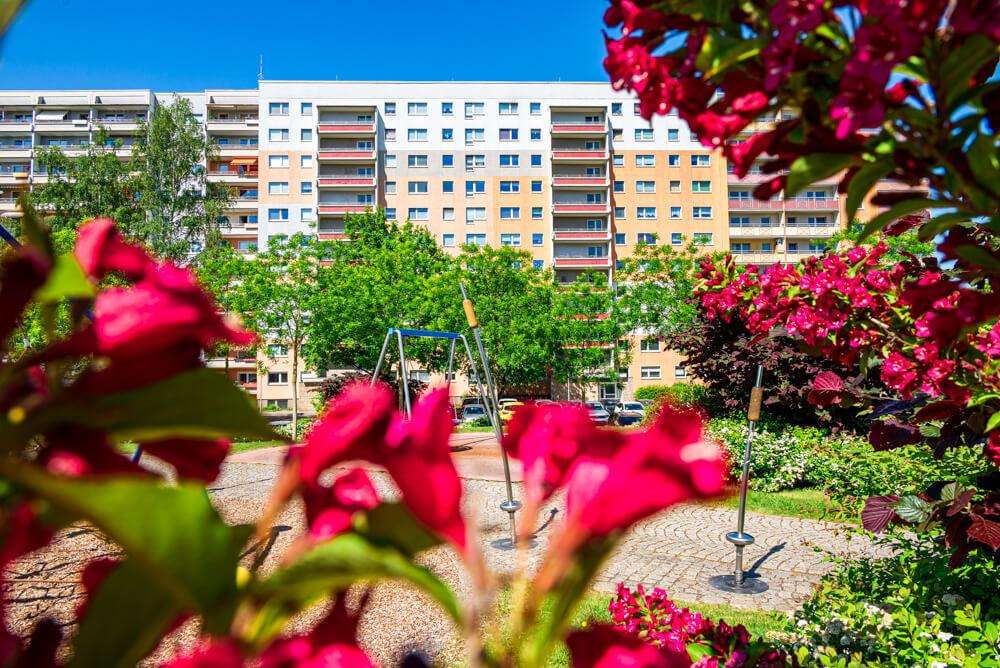 Thumbnail-Wohnung zum Mieten in Zwickau 252,00 € 36 m²