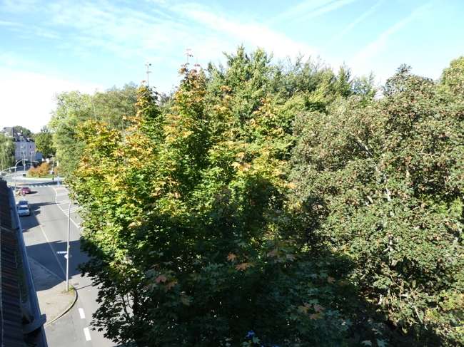 Thumbnail-Wohnung zum Kaufen in Bochum Grumme 149.000,00 € 108 m²