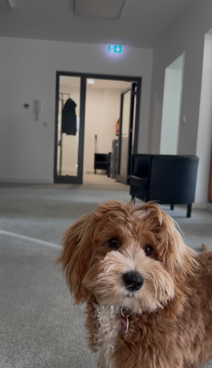 Thumbnail-Büro in Frankfurt am Main 950,00 € 24 m²