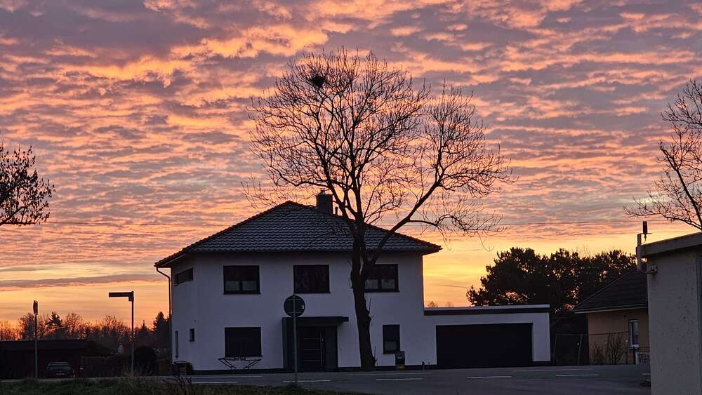 Thumbnail-Haus zum Kaufen in Beelitz 840.000,00 € 188 m²