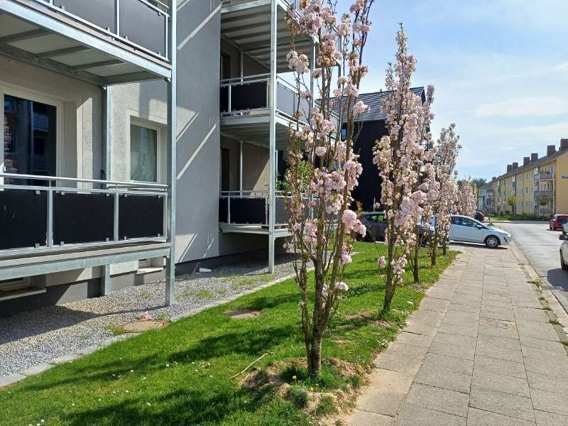 Thumbnail-Wohnung zum Mieten in Minden 499,00 € 36.11 m²