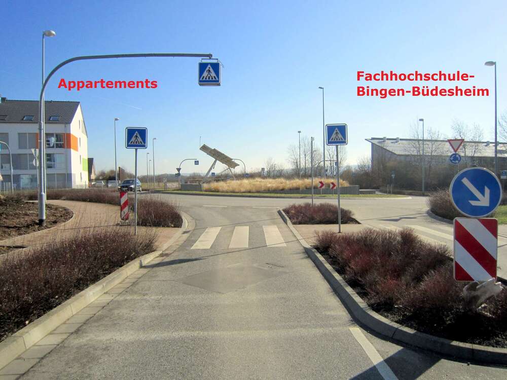 Thumbnail-Wohnung zum Mieten in Bingen 300,00 € 20 m²