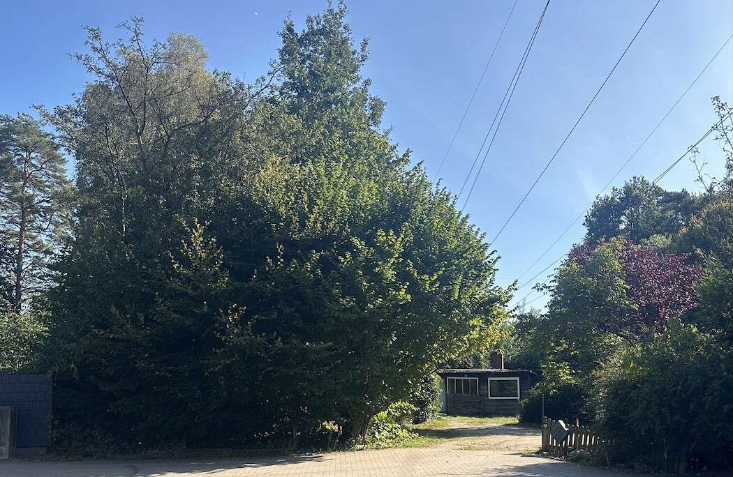 Thumbnail-Grundstück zu verkaufen in Buchholz in der Nordheide 349.000,00 € 860 m²