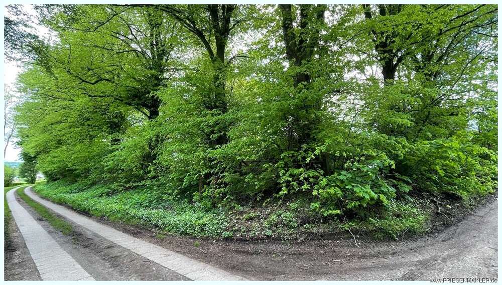 Thumbnail-Grundstück zu verkaufen in Brekendorf 120.000,00 € 1400 m²