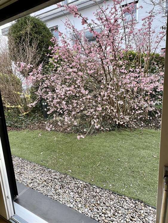 Thumbnail-Wohnung zum Mieten in München 3.000,00 € 92 m²