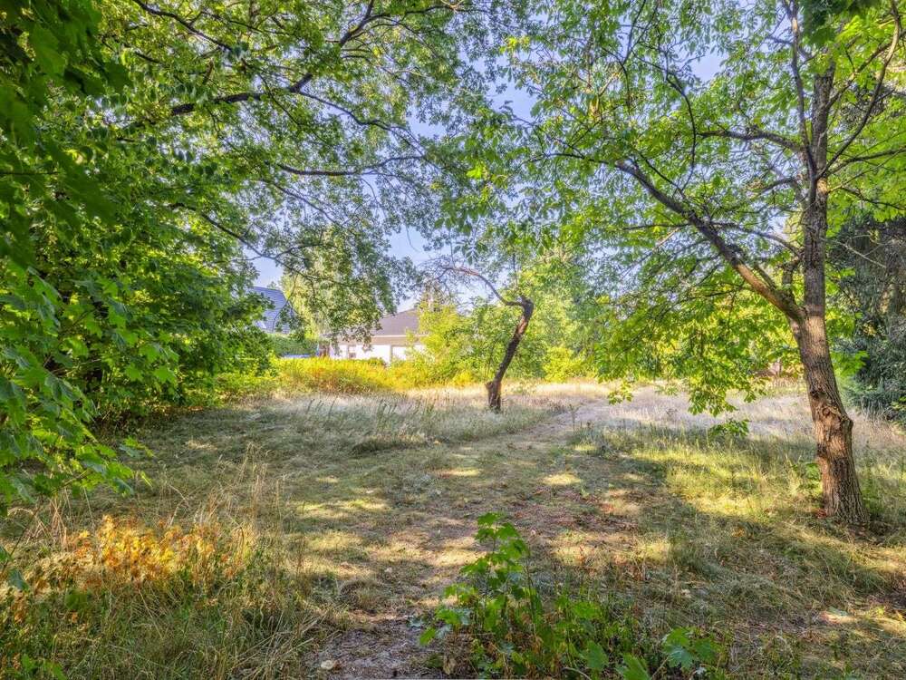 Thumbnail-Grundstück zu verkaufen in Stahnsdorf 429.000,00 € 1200 m²