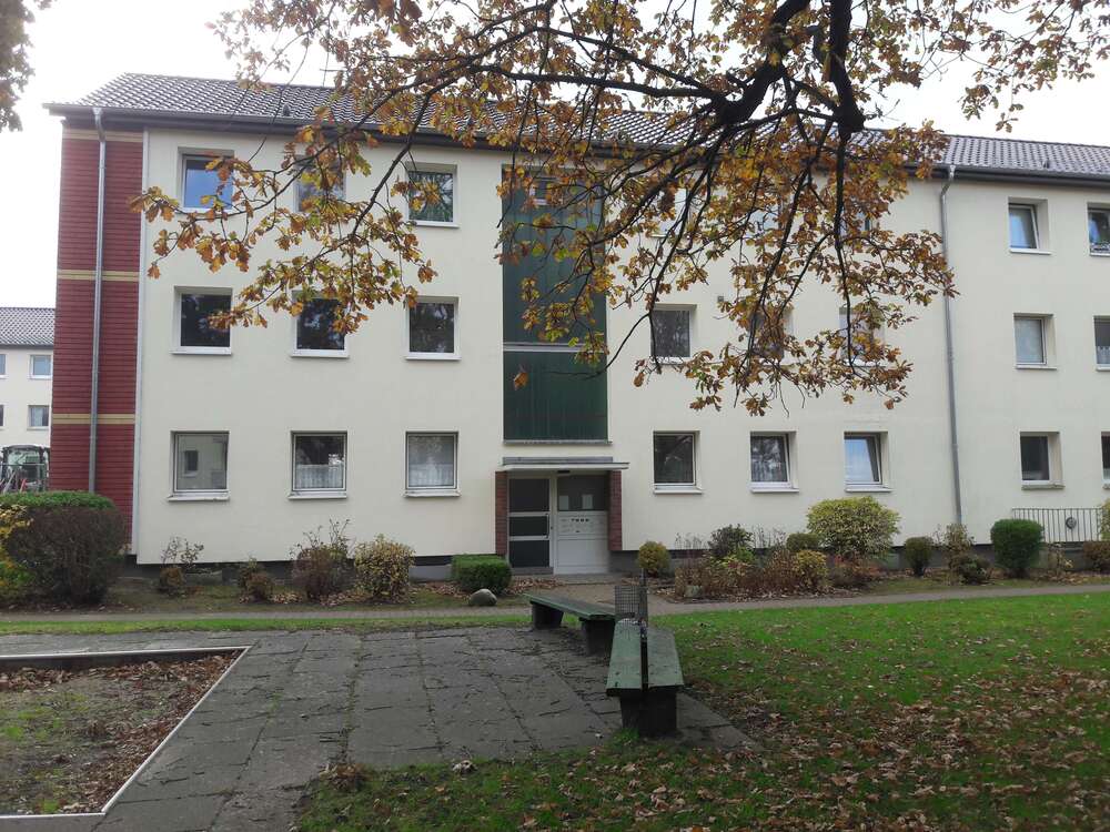 Thumbnail-Wohnung zum Mieten in Flensburg 650,00 € 65 m²