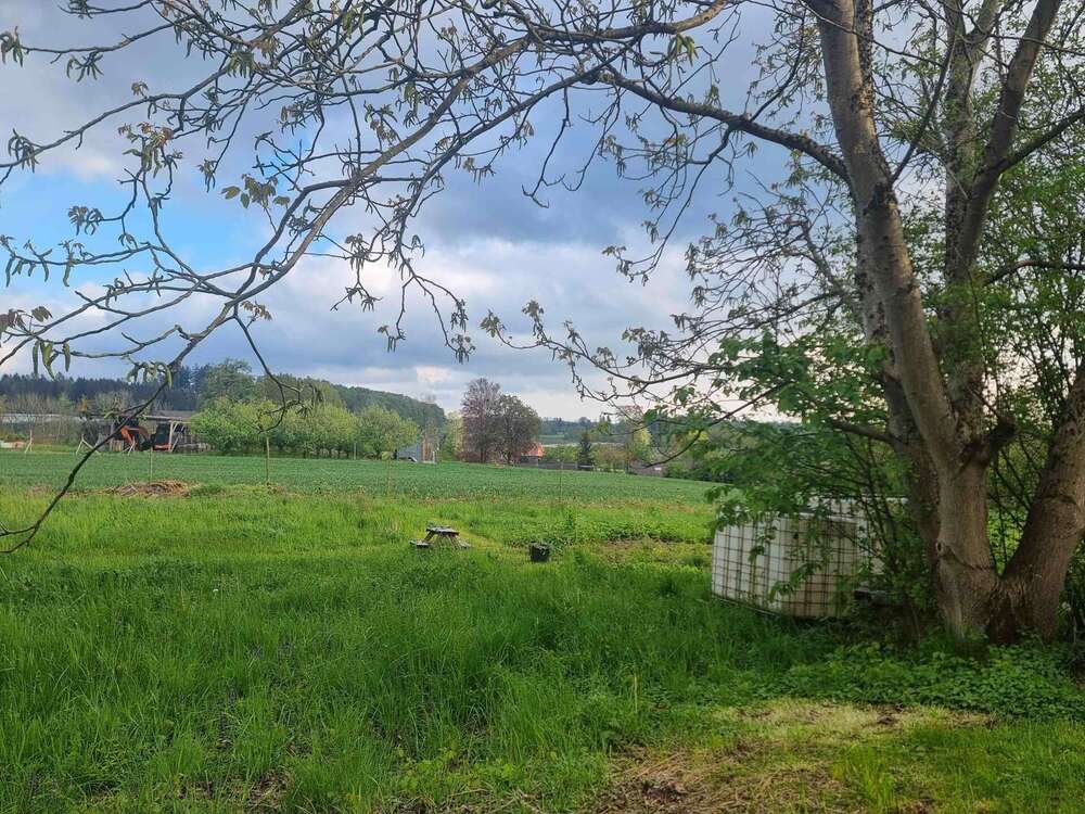 Thumbnail-Wohnung zum Mieten in Ravensburg 700,00 € 61.4 m²