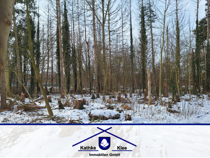 Thumbnail-Grundstück zu verkaufen in Bremen 899.000,00 € 7500 m²