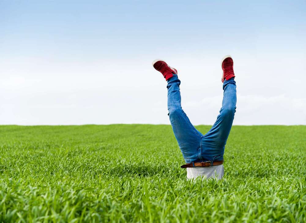 Thumbnail-Grundstück zu verkaufen in Heusenstamm 750.000,00 € 750 m²